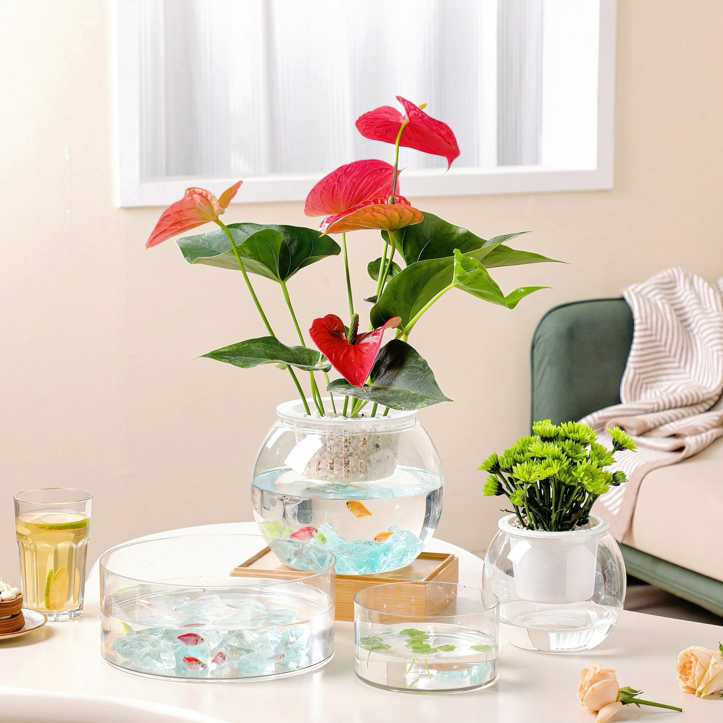 Transparent square jar vase, water culture, green plant, white palm, succulent, square cup, flower arrangement, hydroponic flower pot, tabletop simple ornament, florist