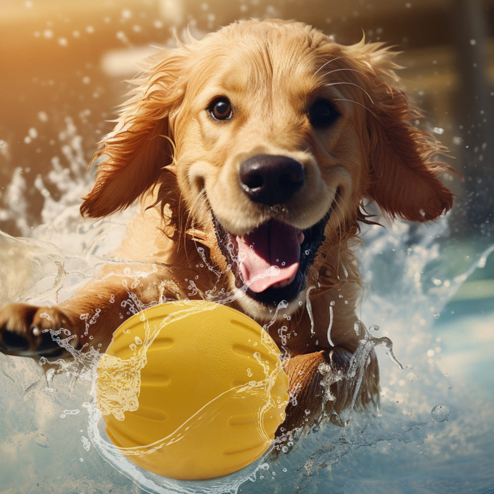 EVA pet toys dog frisbee bite ring dog toys can't bite teeth grinding pet ball puppy supplies dog pull tab