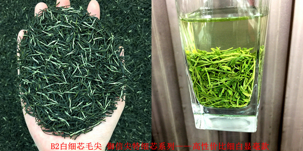 Tea Gift: Yunwu Fried Green Bulk Green Tea Tea Bulk Xinyang Craft Yuxin Jian Maojian Tea