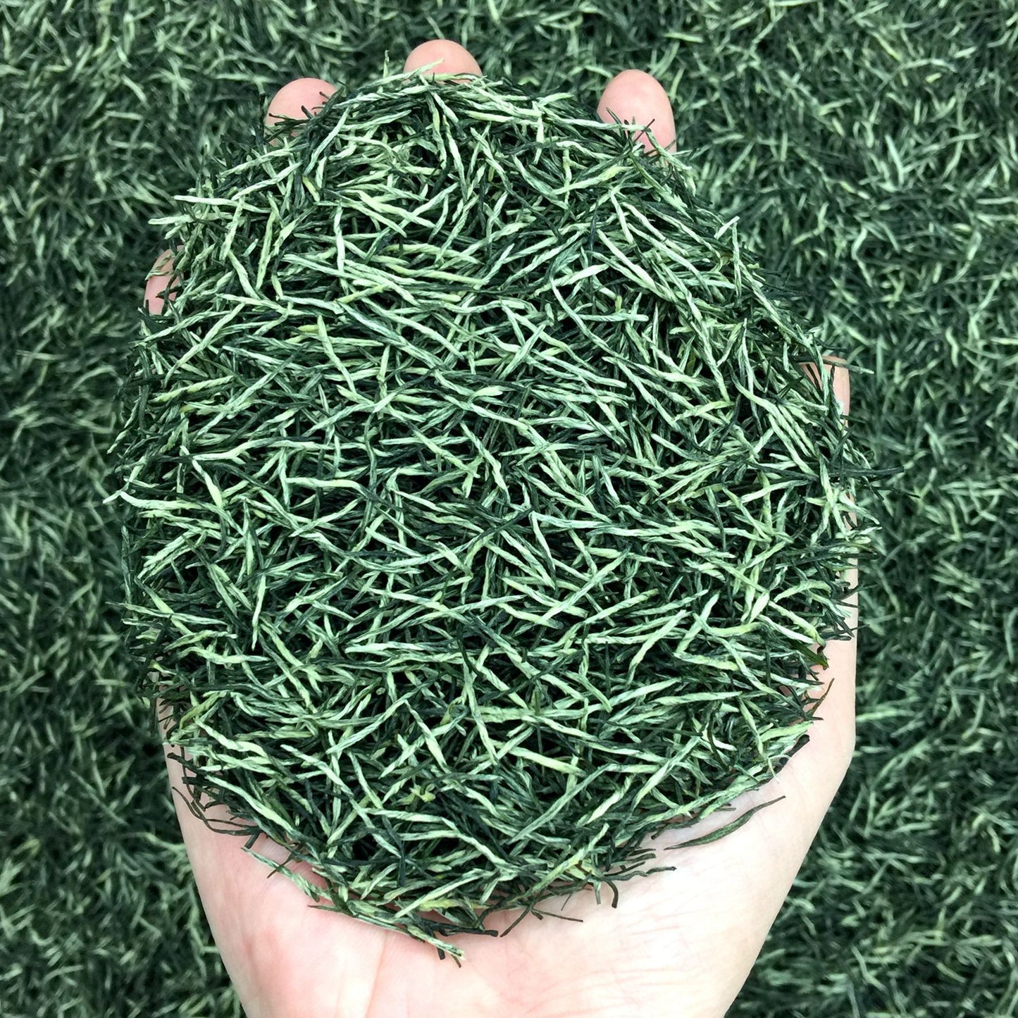 Tea Gift: Yunwu Fried Green Bulk Green Tea Tea Bulk Xinyang Craft Yuxin Jian Maojian Tea
