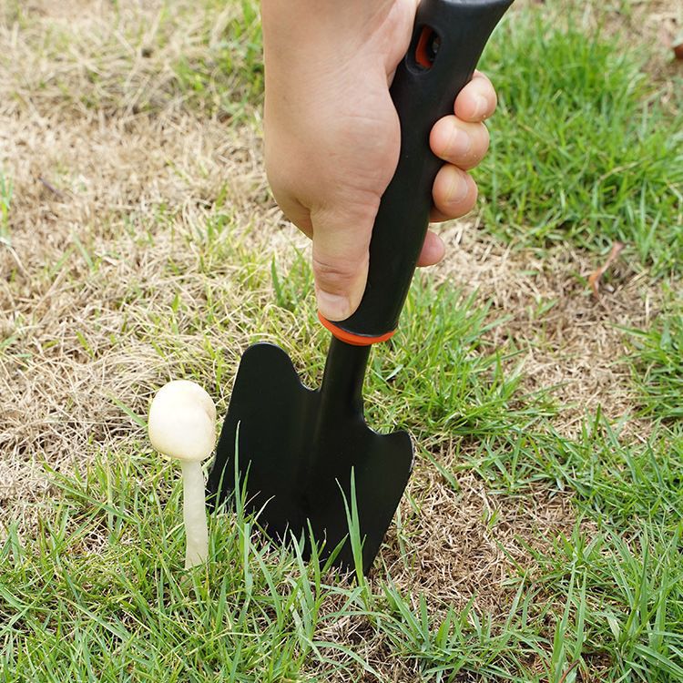 Gardening shovel flower tool household vegetable planting flower succulent planting shovel shovel hoe rushing sea turning soil set