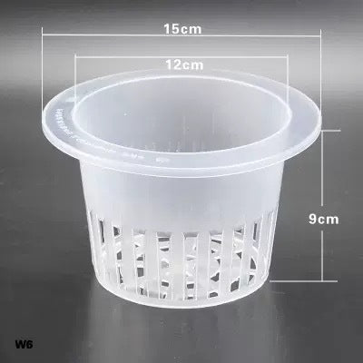 Transparent square jar vase, water culture, green plant, white palm, succulent, square cup, flower arrangement, hydroponic flower pot, tabletop simple ornament, florist