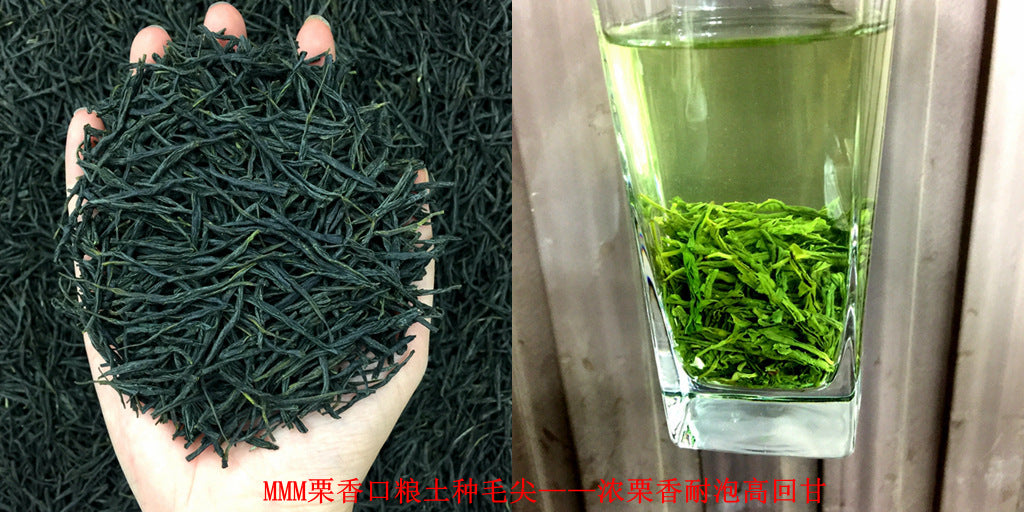 Tea Gift: Yunwu Fried Green Bulk Green Tea Tea Bulk Xinyang Craft Yuxin Jian Maojian Tea