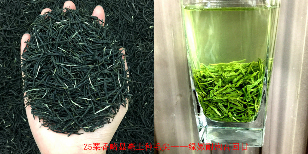 Tea Gift: Yunwu Fried Green Bulk Green Tea Tea Bulk Xinyang Craft Yuxin Jian Maojian Tea
