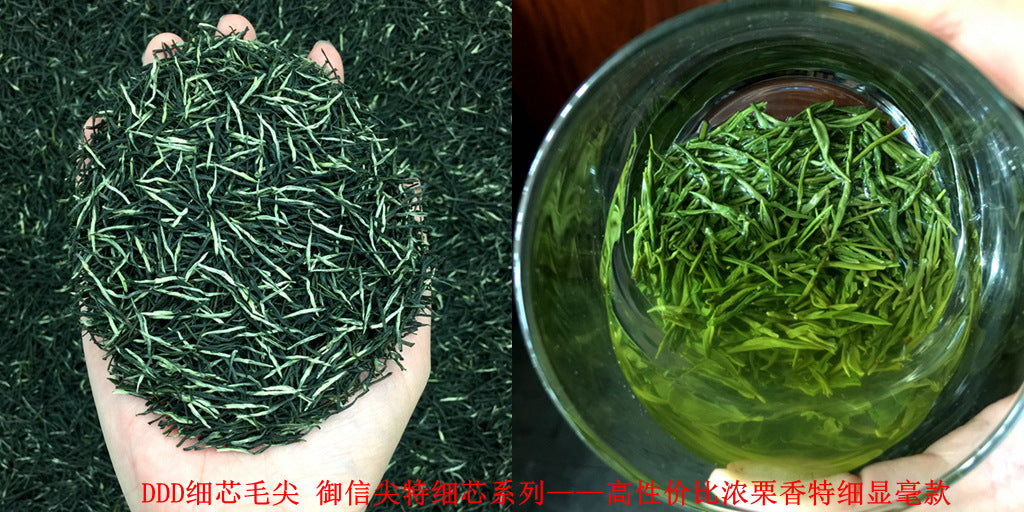 Tea Gift: Yunwu Fried Green Bulk Green Tea Tea Bulk Xinyang Craft Yuxin Jian Maojian Tea