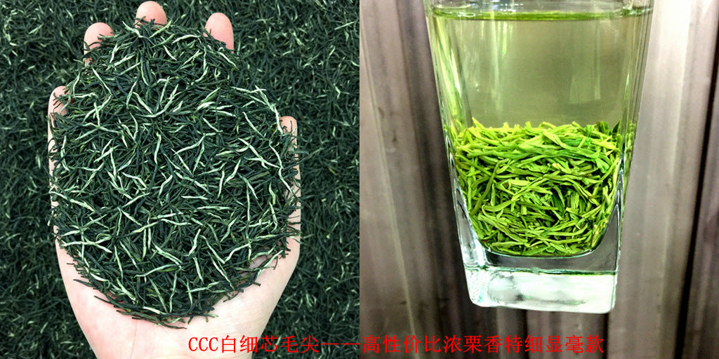 Tea Gift: Yunwu Fried Green Bulk Green Tea Tea Bulk Xinyang Craft Yuxin Jian Maojian Tea