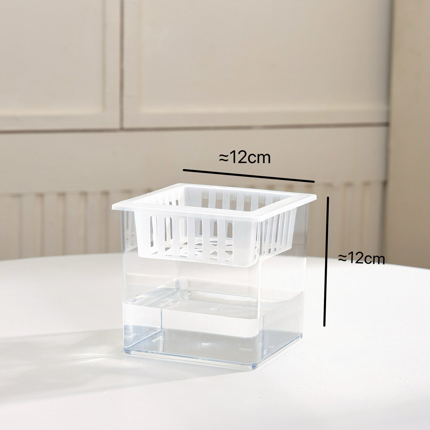 Transparent square jar vase, water culture, green plant, white palm, succulent, square cup, flower arrangement, hydroponic flower pot, tabletop simple ornament, florist