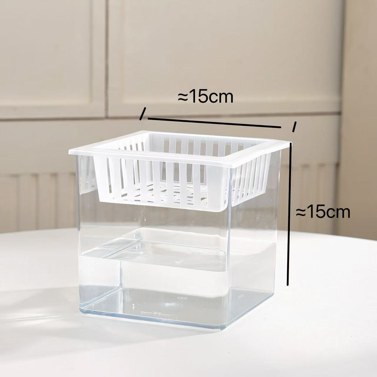 Transparent square jar vase, water culture, green plant, white palm, succulent, square cup, flower arrangement, hydroponic flower pot, tabletop simple ornament, florist