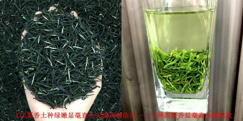 Tea Gift: Yunwu Fried Green Bulk Green Tea Tea Bulk Xinyang Craft Yuxin Jian Maojian Tea