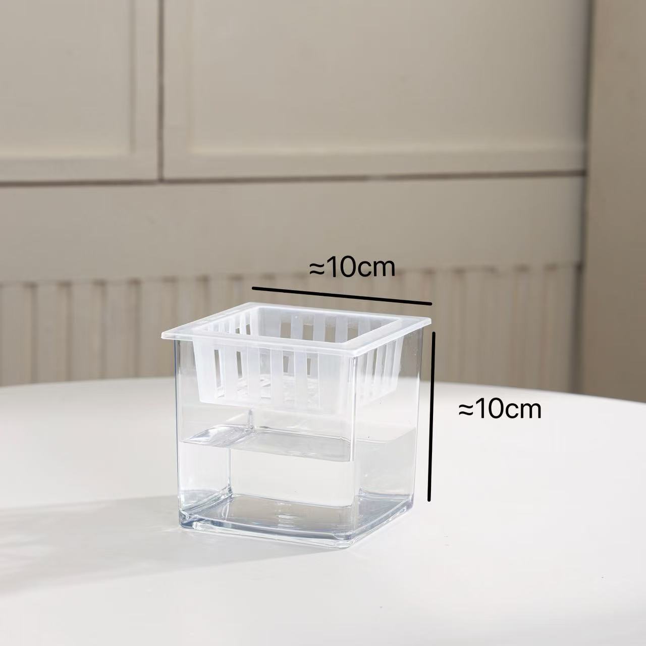 Transparent square jar vase, water culture, green plant, white palm, succulent, square cup, flower arrangement, hydroponic flower pot, tabletop simple ornament, florist