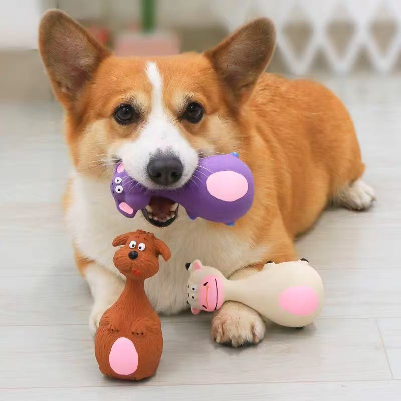 TOYS FOR PETS