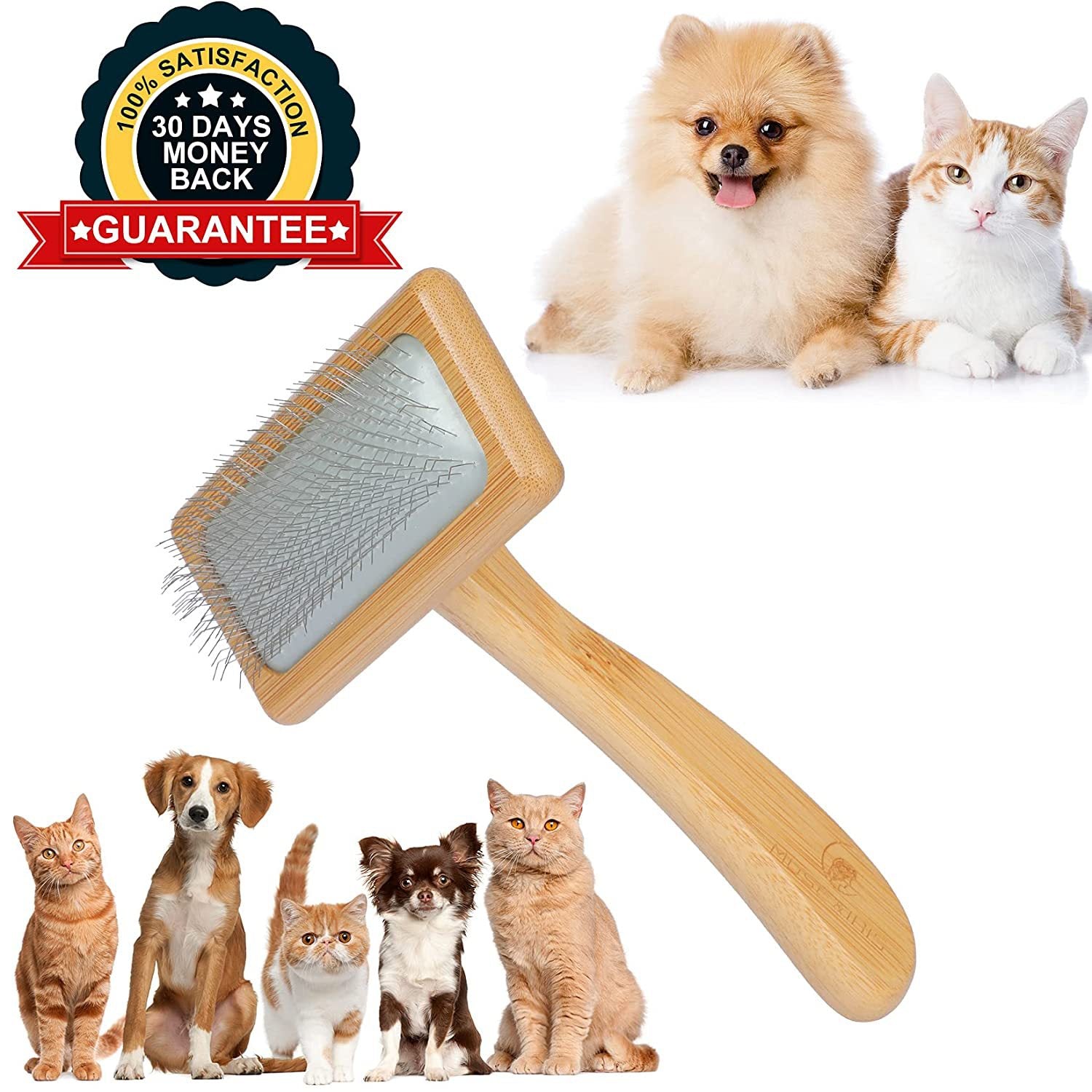 ACCESSORIES FOR DOGS AND CATS