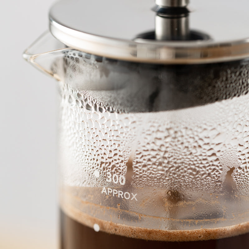 Glass French pressure filter