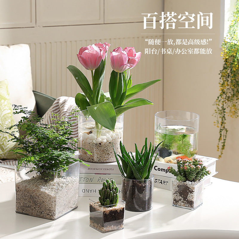 Transparent square jar vase, water culture, green plant, white palm, succulent, square cup, flower arrangement, hydroponic flower pot, tabletop simple ornament, florist