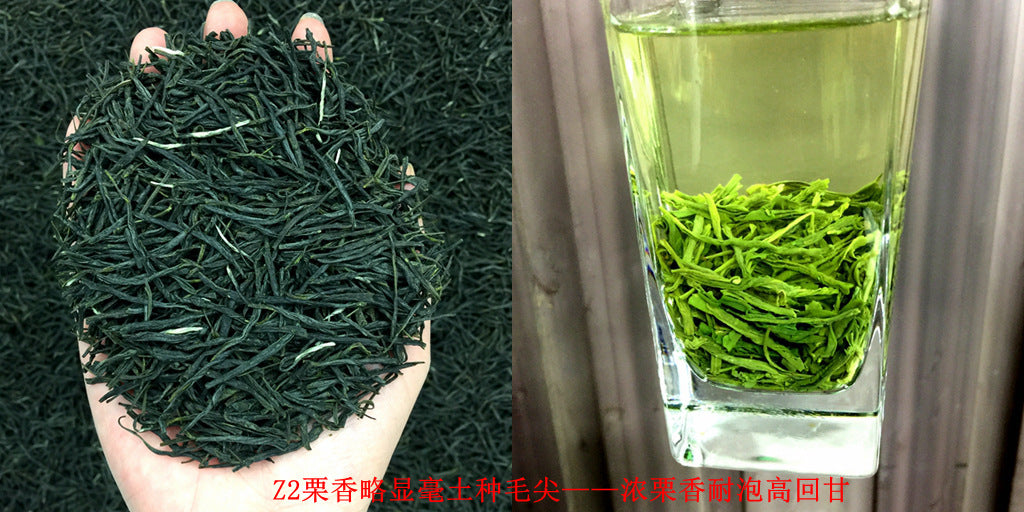 Tea Gift: Yunwu Fried Green Bulk Green Tea Tea Bulk Xinyang Craft Yuxin Jian Maojian Tea