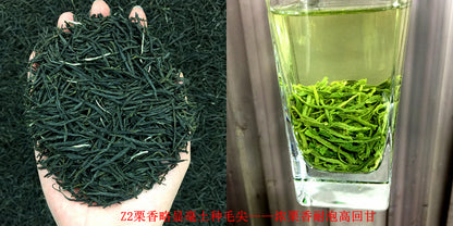 Tea Gift: Yunwu Fried Green Bulk Green Tea Tea Bulk Xinyang Craft Yuxin Jian Maojian Tea