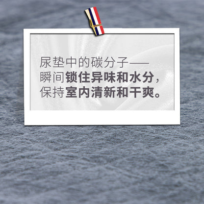 Dog Urine Pad Thickened Bamboo Charcoal Deodorant Diaper Cat Diaper Teddy Diaper Absorbent Sanitary Pad Bulk