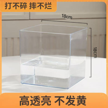 Transparent square jar vase, water culture, green plant, white palm, succulent, square cup, flower arrangement, hydroponic flower pot, tabletop simple ornament, florist