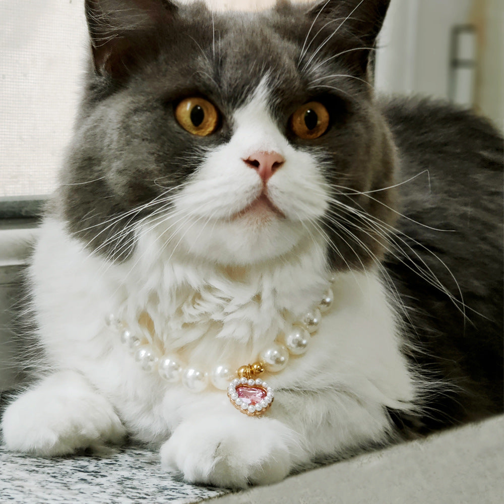 Pet cat devon kitten dog pearl necklace collar small fragrance breeze gemstone bow puppet accessories cross-border