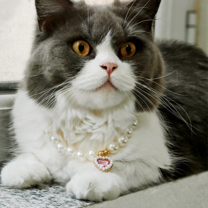 Pet cat devon kitten dog pearl necklace collar small fragrance breeze gemstone bow puppet accessories cross-border
