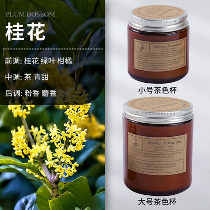 Scented candles smokeless handmade soy candles Romantic vibe aromatherapy essential oil candles glass candles