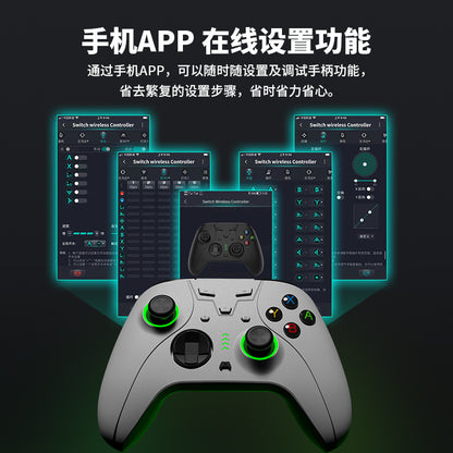 NS Pro PC Switch
