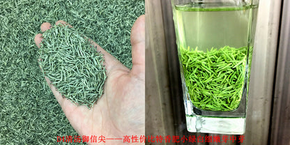 Tea Gift: Yunwu Fried Green Bulk Green Tea Tea Bulk Xinyang Craft Yuxin Jian Maojian Tea