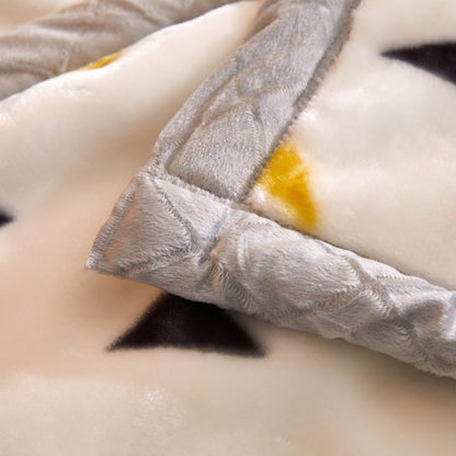 Thickened Raschel Blanket Winter Warm Blanket Flannel Cover Blanket Bed Sheet Double Layer Antistatic Cloud Blanket