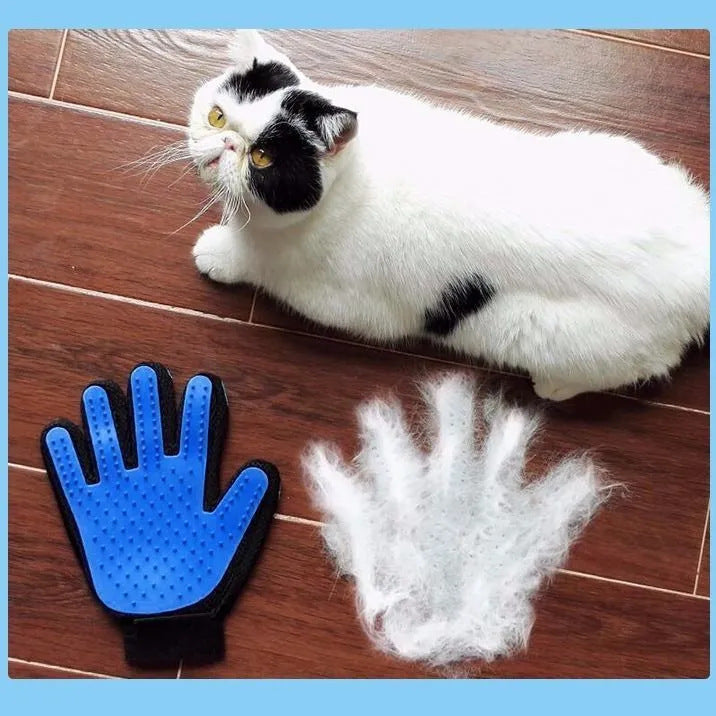 Cat Gloves