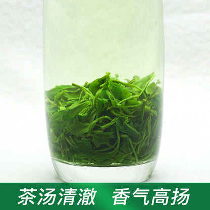 Alpine Green Tea Maojian New Tea Strong Aroma Tea Bulk Bagged Authentic Spring Tea [Newcomer]