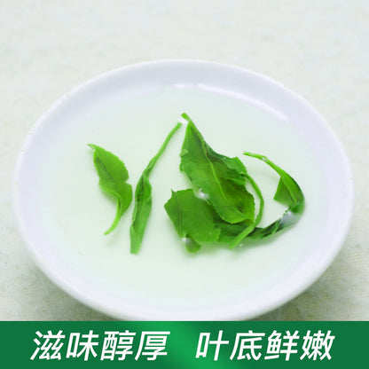 Alpine Green Tea Maojian New Tea Strong Aroma Tea Bulk Bagged Authentic Spring Tea [Newcomer]