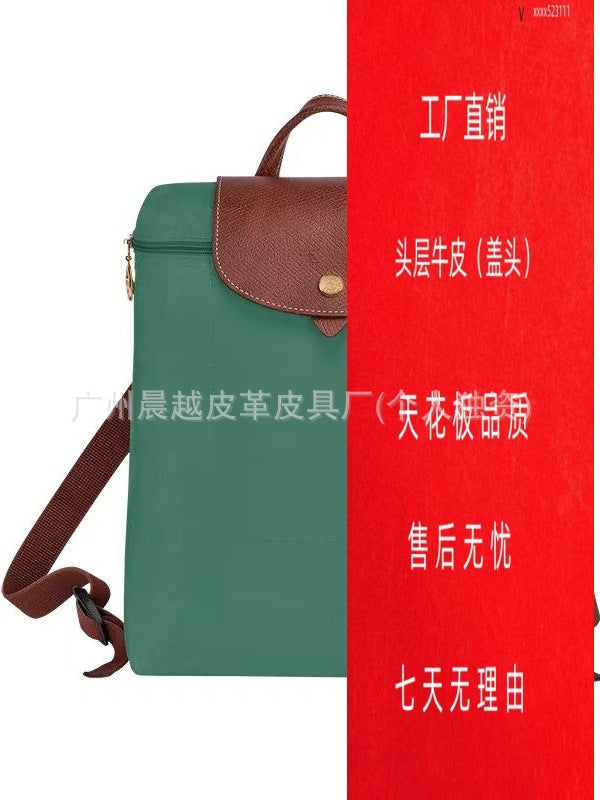 (French) dragon backpack handbag, waterproof nylon ladies backpack, school bag, commuter bag, changing bag
