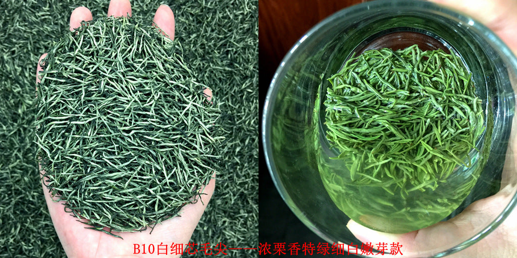 Tea Gift: Yunwu Fried Green Bulk Green Tea Tea Bulk Xinyang Craft Yuxin Jian Maojian Tea