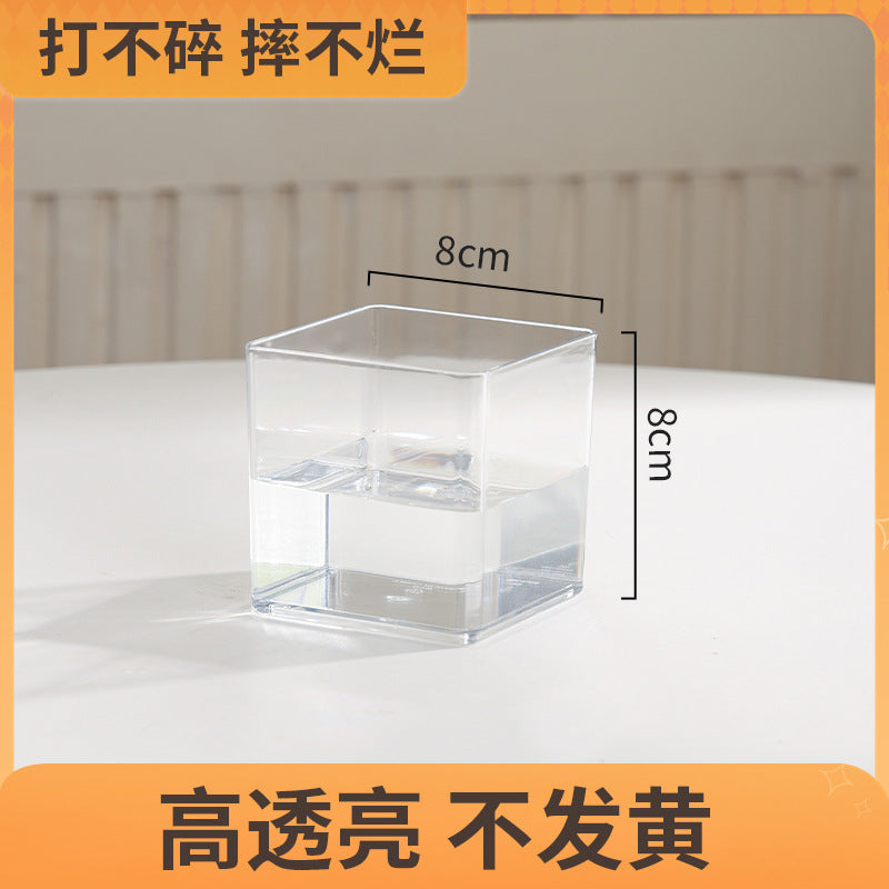 Transparent square jar vase, water culture, green plant, white palm, succulent, square cup, flower arrangement, hydroponic flower pot, tabletop simple ornament, florist