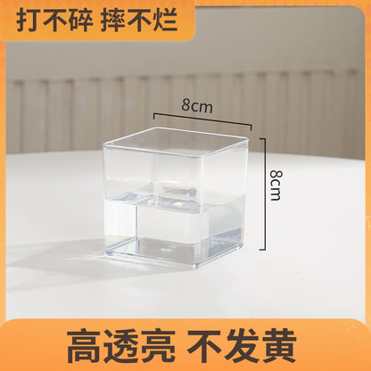 Transparent square jar vase, water culture, green plant, white palm, succulent, square cup, flower arrangement, hydroponic flower pot, tabletop simple ornament, florist